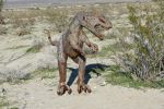PICTURES/Borrego Springs Sculptures - Dinosaurs & Dragon/t_P1000446.JPG